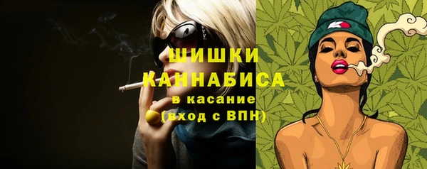 мяу мяу кристалл Гусь-Хрустальный