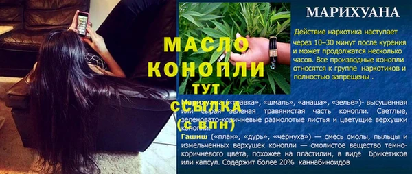 мяу мяу кристалл Гусь-Хрустальный