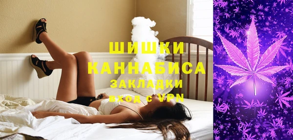 мяу мяу кристалл Гусь-Хрустальный
