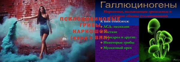 метадон Гусев