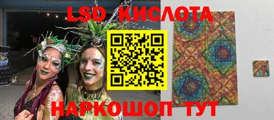 шишки Изобильный