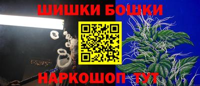 шишки Изобильный
