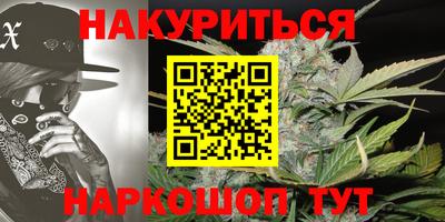 шишки Изобильный