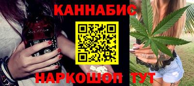 шишки Изобильный