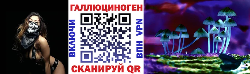 где продают наркотики мега Псилоцибиновые грибы Psilocybe Протвино