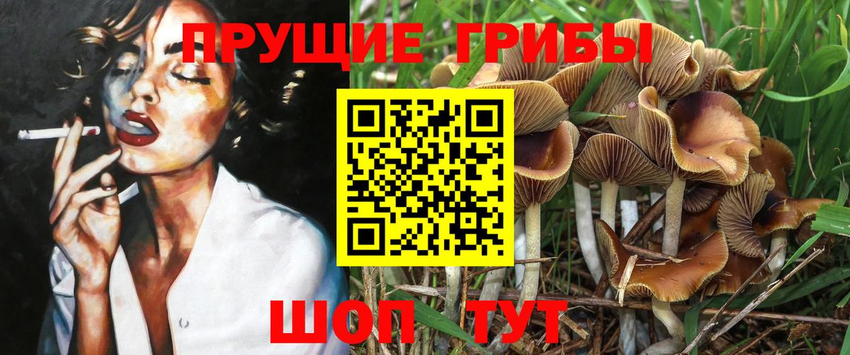 Галлюциногенные грибы мицелий Протвино