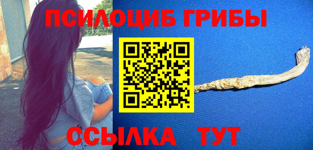 Галлюциногенные грибы ЛСД  наркотики  Протвино  Вход с VPN 